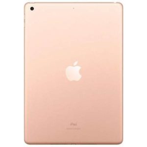 iPad 7 (WiFi + Cellular)